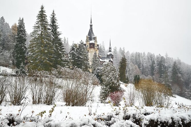 1 Day Castles Tour - Sinaia and Bran - What the vehicle, guide, and group size mean