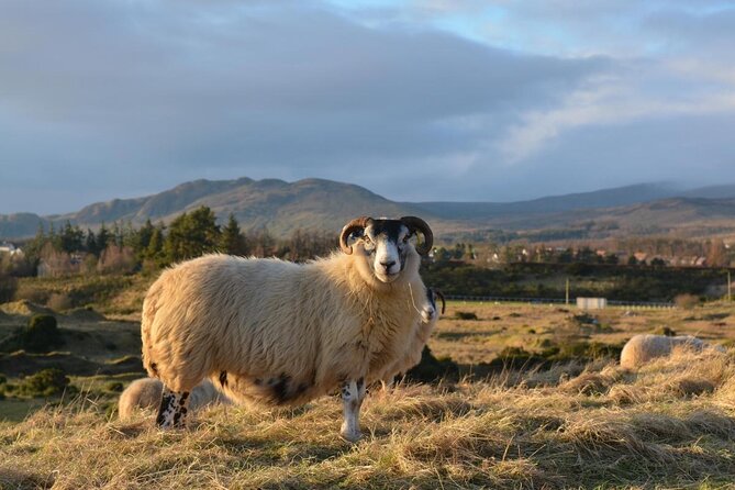 1 Day Castles, West Highlands and Loch Lomond Tour from Edinburgh - Tyndrum and the road toward Rannoch Moor