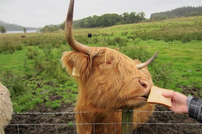 1 Day Tour from Inverness - Isle of Skye, Fairy Pools, and Eilean Donan Castle - Crossing Skye toward the Cuillins