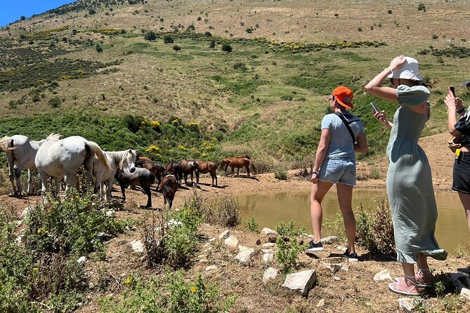 1-Day Tour in Blue Eye, Monastery, Gjirokaster and Lekursi Castle - How the Small Group and Guide Affect the Day