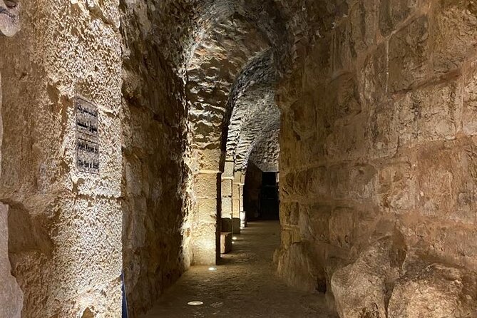 1 Day Tour to Amman Jerash and Ajloun castle - The road north to Jerash