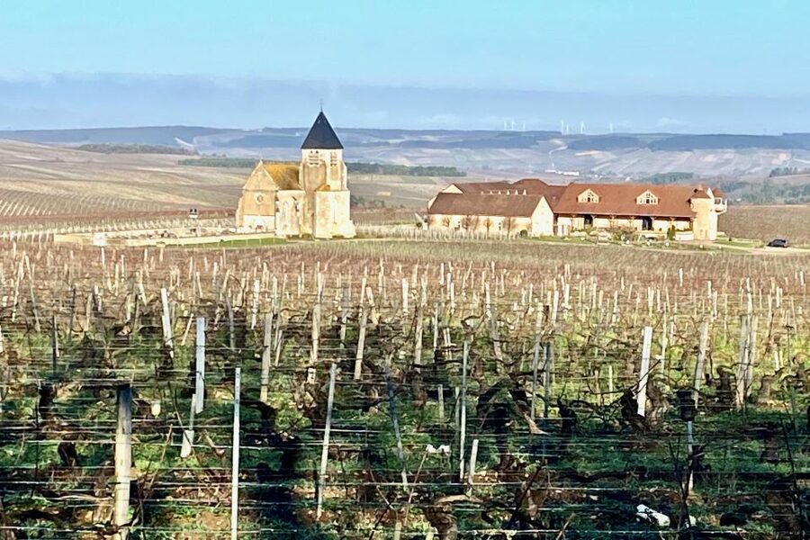 15 Burgundy Wines Chateau Pommard, Chablis Small-Group - Key points to know before booking