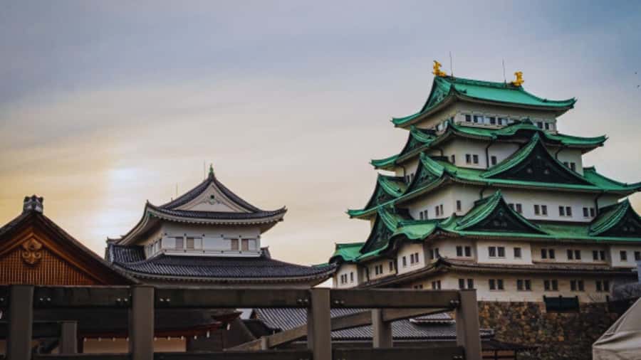 2.5-Hour Nagoya Tour: Castle History, Local Food & City View - Is $41 per person good value?