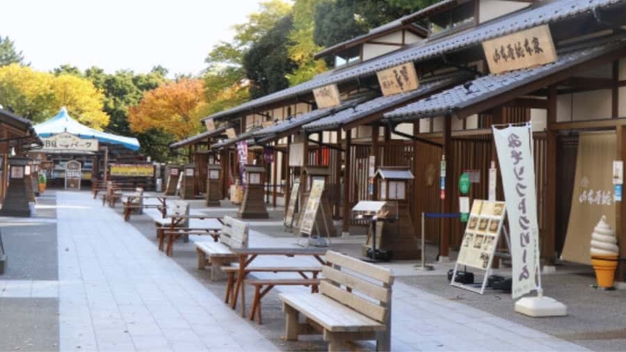 2.5-Hour Nagoya Tour: Castle History, Local Food & City View - Who will enjoy this Nagoya experience?
