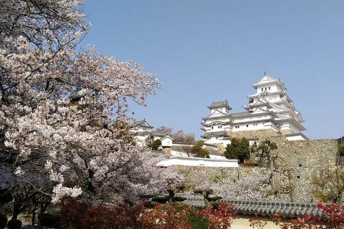 2.5 Hour Private History and Culture Tour in Himeji Castle - Stories, symbolism, and the people behind the walls
