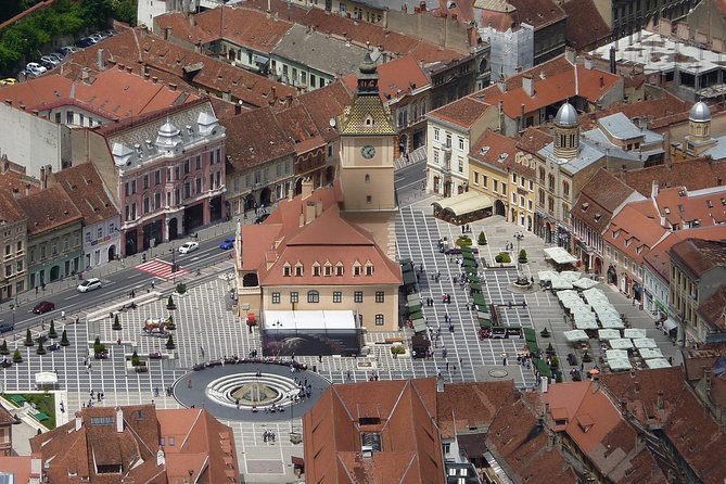 2-Day Small-Group Tour to Dracula's Castle, Rasnov Fortress, Peles Castle, Sighisoara and Libearty Brown Bear Sanctuary with Overnight in Brasov - Libearty Sanctuary: the most thoughtful stop