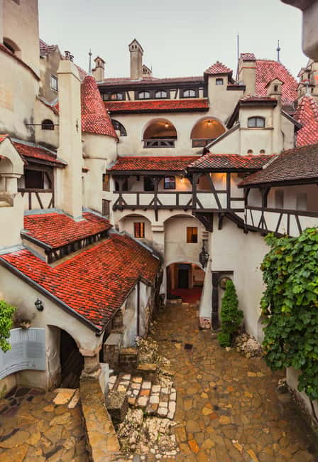 3 Castle Bucharest: Dracula Castle, Wednesday & Peles Castle - Ticket costs and overall value