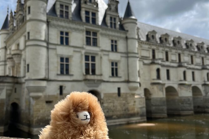 3 Loire Valley Castles and Wine Tasting Private Guided Tour - Lunch in Amboise, with room for a local meal
