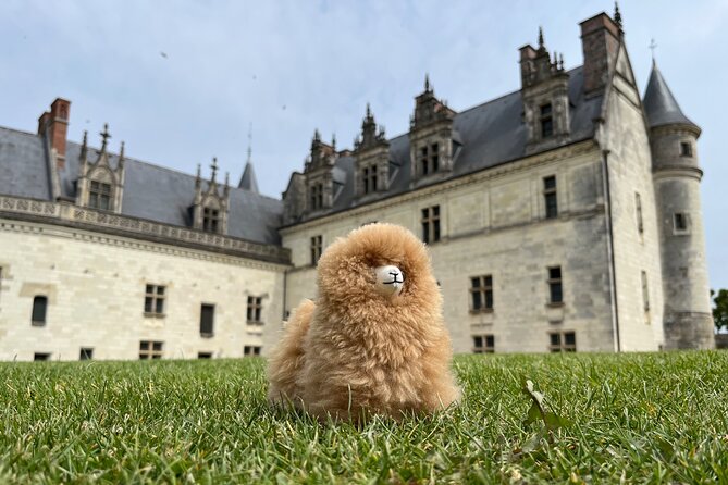 3 Loire Valley Castles and Wine Tasting Private Guided Tour - Plou Et Fils: seven wines and a family cellar