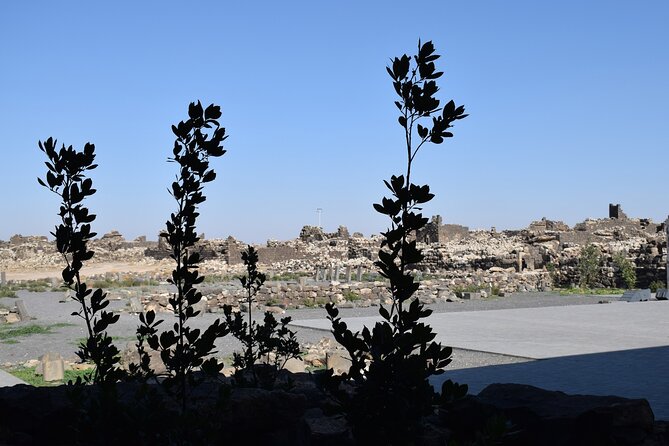 5-Desert Castles of Jordan Full-Day Private Tour from Amman - Price, timing, and what the $139.99 buys
