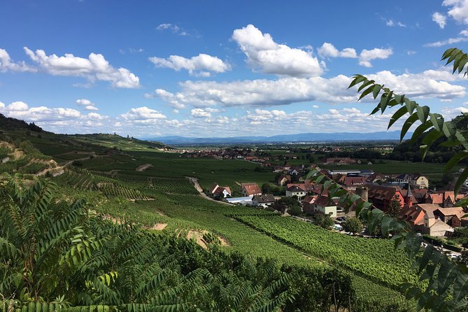 5H00 ALSACE PRIVATE TOUR-Castle, Villages, Wine, Friendly Driver - Starting in a quiet electric vehicle
