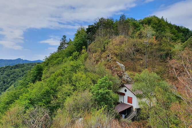 7-hour Private Tour to Bran Castle from Bucharest - Who should book this experience