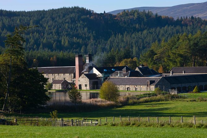 Aberdeen & Shire Castle & Distillery Private Group one Day Tour - What the guide adds to the experience