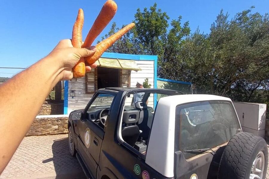 Albufeira Safari exploring villages, churches, castle & farm - Who will enjoy this outing most