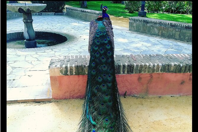 Alcazar and Cathedral of Seville Private Tour - A private guide who adjusts to your group