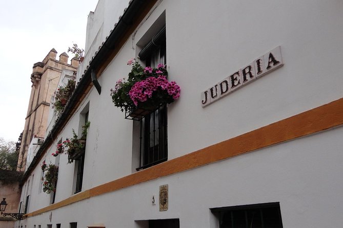 Alcázar and Jewish Quarter Guided Walking Tour in Seville - Brief stops at the Hospital de los Venerables and Archivo de Indias