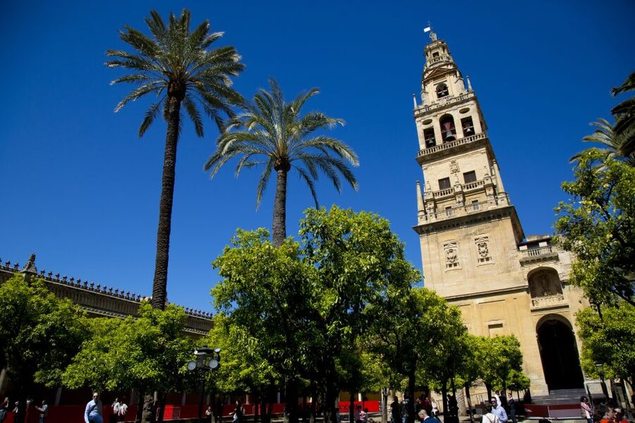 Alcazar of Cordoba Entry Ticket and Guided Tour - The Salon de los Mosaicos and Moorish details