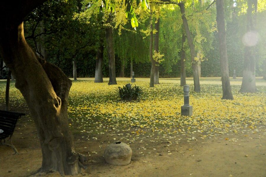 Alcázar of Seville Skip-the-Line Tickets and Guided Tour - What the best guides add