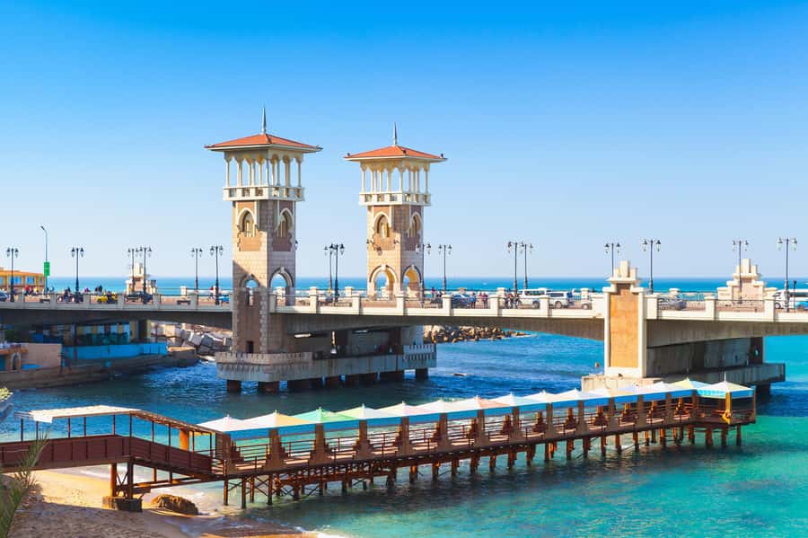 Alexandria: Library, Amphitheater & Citadel Tour - Who should book this tour?