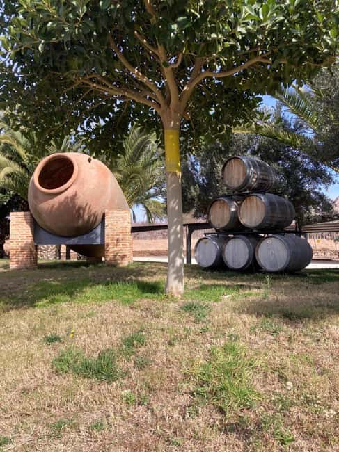 Alicante/Benidorm: Wine tasting tour,transfer,La Mola Castle - Novelda and the Vinalopó wine country