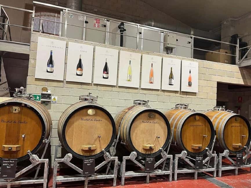 Alicante/Benidorm: Wine tasting tour,transfer,La Mola Castle - La Mola Castle and a 12th-century setting