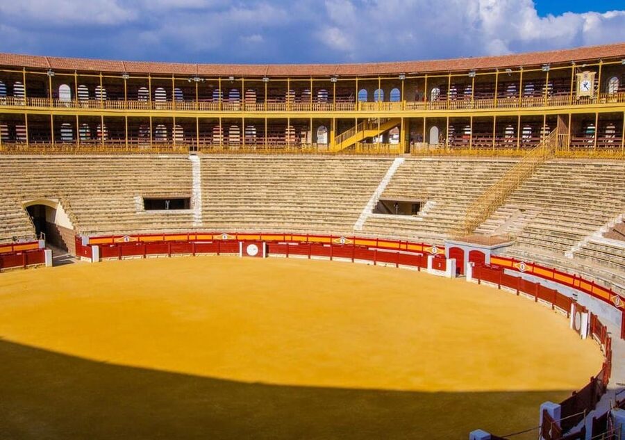 Alicante: Bullring and Castle Guided Tour with Taxi Transfer - Time, cost, and who gets the best value