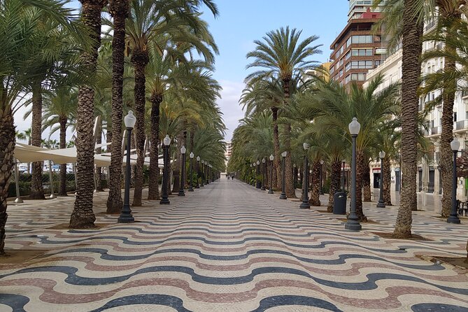 Alicante Highlights Private Tour with Castle - Taking the taxi up Santa Bárbara Castle