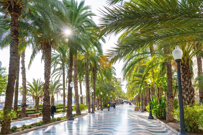 Alicante Tour: Full City, Castle, Market & Tapas Experience - Casa Carbonell and the city’s prosperous past