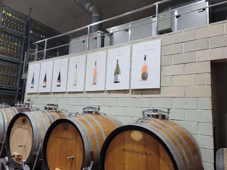 Alicante:Winery Tour+ Wine Tasting + Old castle - Starting among Alicante’s grapevines