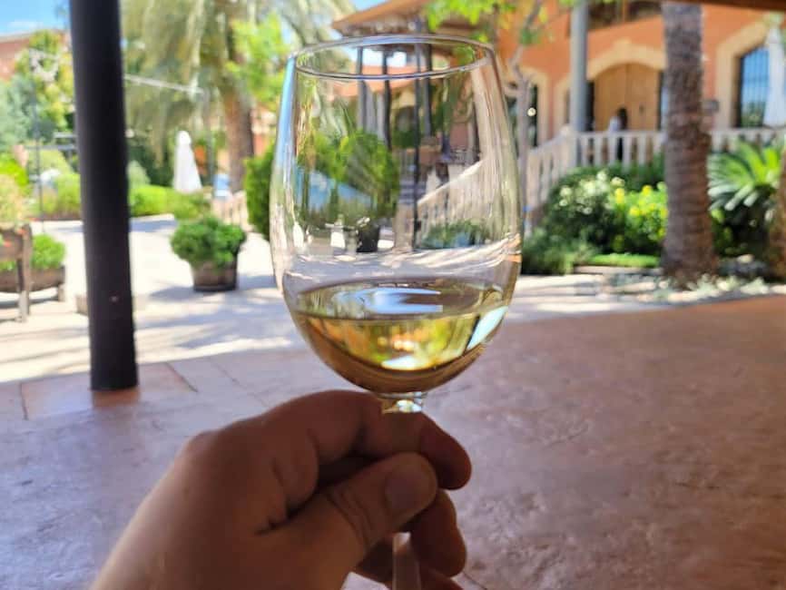 Alicante:Winery Tour+ Wine Tasting + Old castle - Tasting three wines with tapas