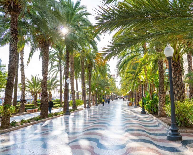 All of Alicante with the Castle, Market, and Tapas. Small group, max 6 people - Plaza Gabriel Miró and the historic center