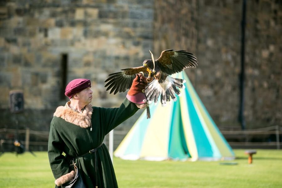 Alnwick: Alnwick Castle Ticket - Visit the museums and exhibitions