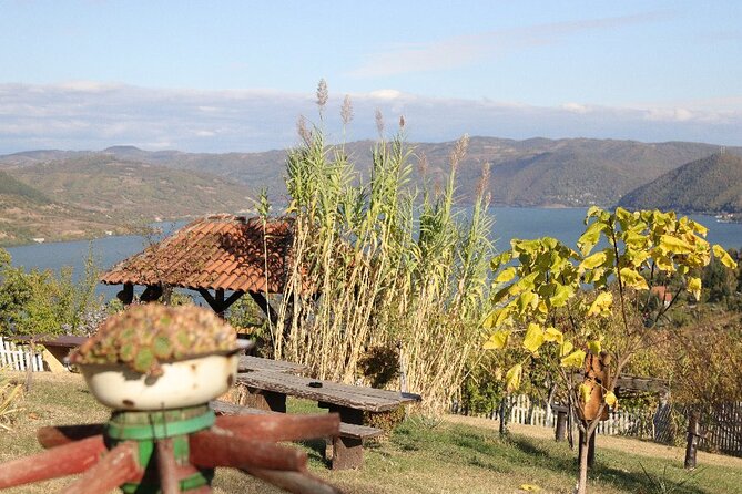 Along the Danube: Golubac Fortress & Iron Gate Gorge day trip from Belgrade - Lepenski Vir and thousands of years of human history