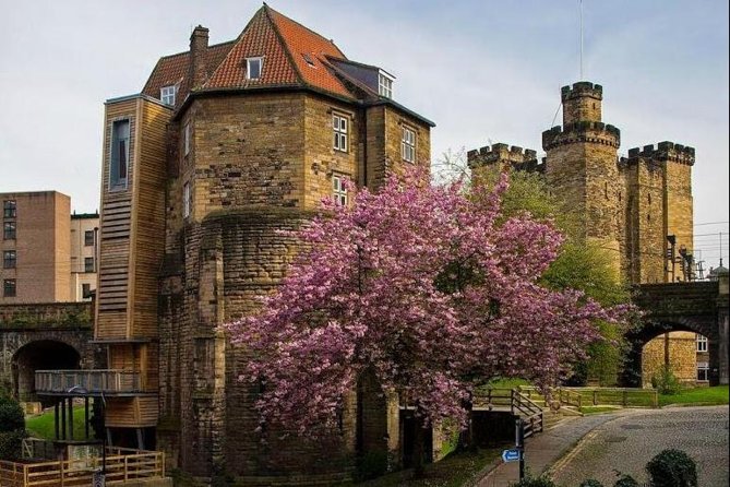 Annual Admission Newcastle Castle Ticket - Inside the Black Gate