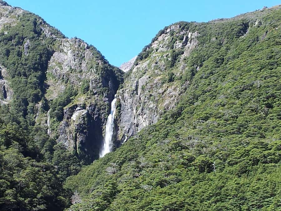 Arthur's Pass: TranzAlpine Train and Castle Hill Day Tour - Lunch, weather, and what to pack