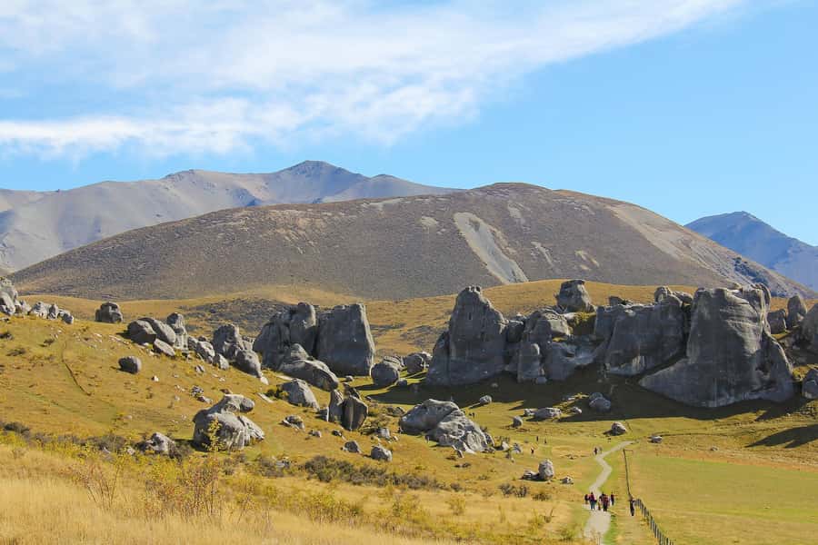 Arthur's Pass: TranzAlpine Train and Castle Hill Day Tour - The TranzAlpine train across the Canterbury Plains