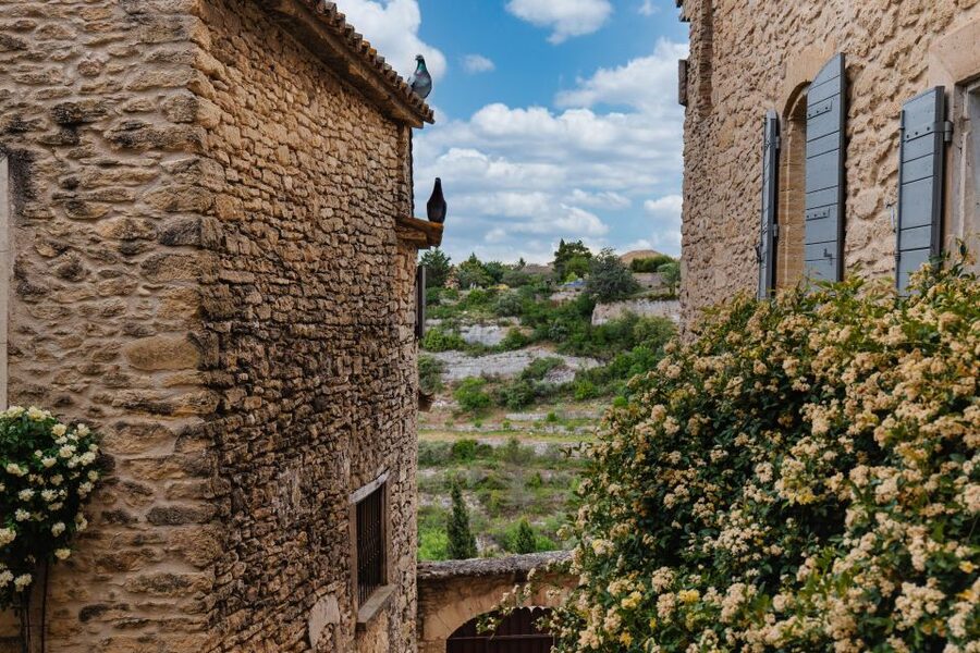 Avignon: Full-Day Châteauneuf du Pape Wines & Luberon Tour - Key things to know before booking