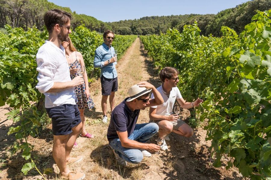 Avignon: Full-Day Châteauneuf du Pape Wines & Luberon Tour - The Avignon break keeps the day moving