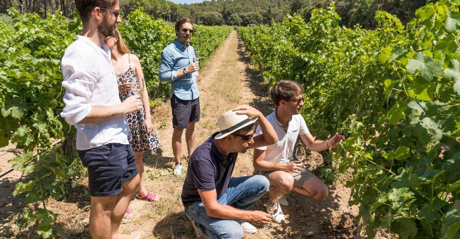 Avignon: Full-Day Châteauneuf du Pape Wines & Luberon Tour - What the $199 price really covers