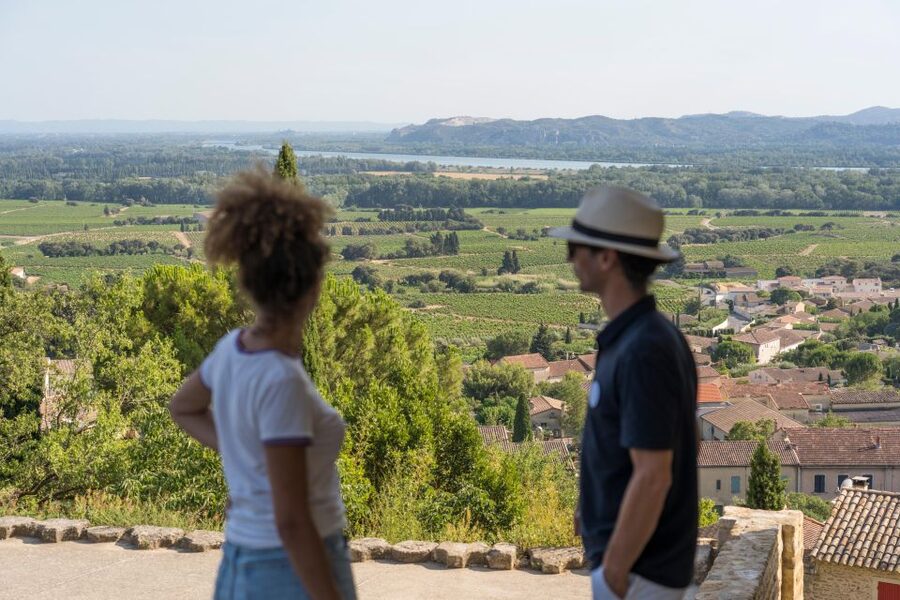 Avignon: Full-Day Châteauneuf du Pape Wines & Luberon Tour - Châteauneuf-du-Pape begins with the castle view