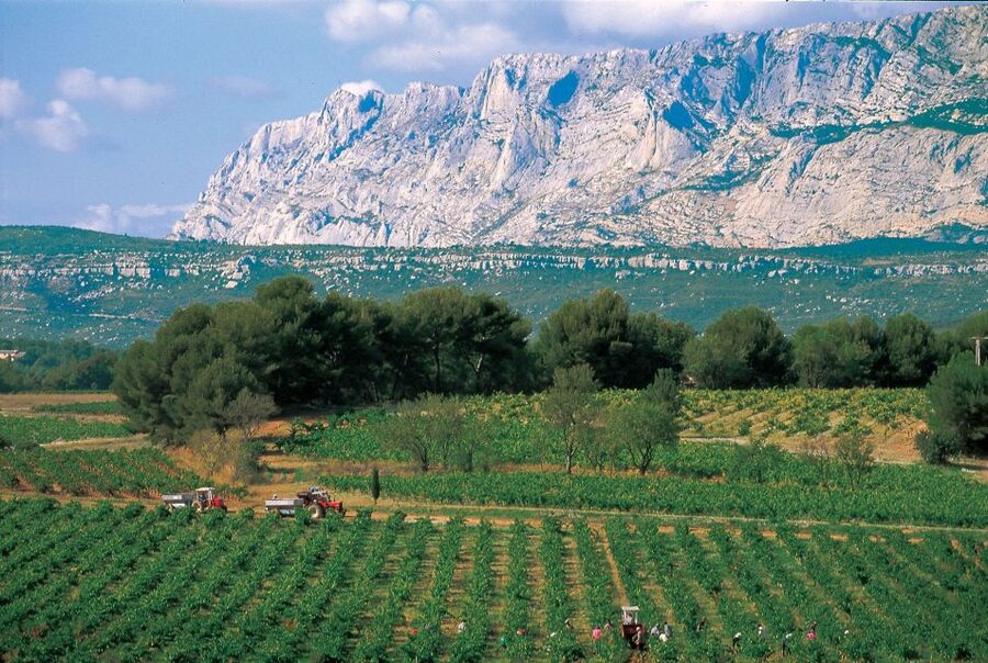 Avignon: Full-Day Wine Tour around Châteauneuf-du-Pape - Leaving Avignon for the Rhône vineyards