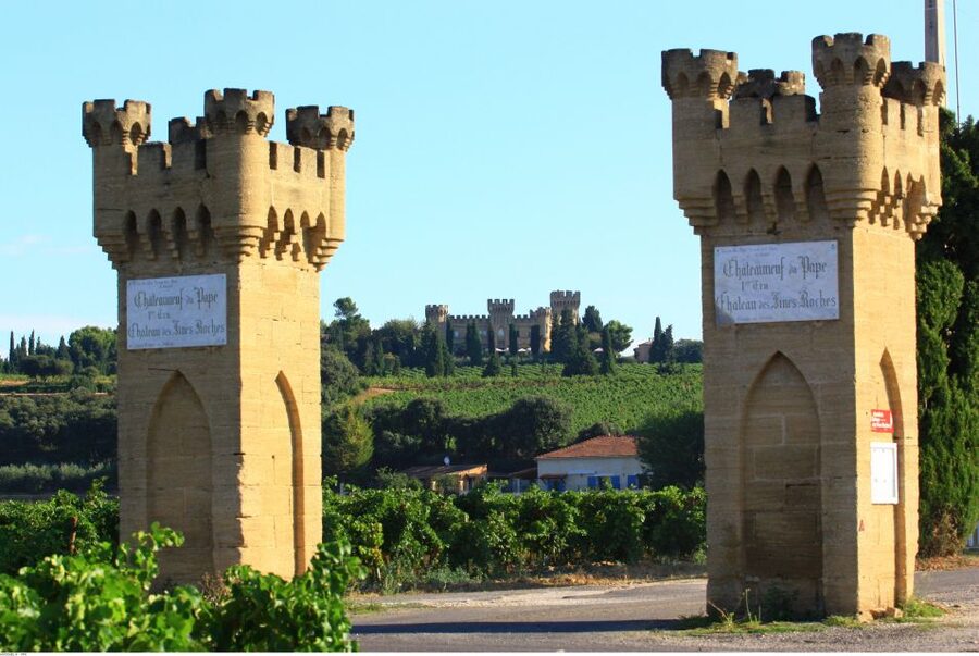 Avignon: Full-Day Wine Tour around Châteauneuf-du-Pape - The guides are the real value