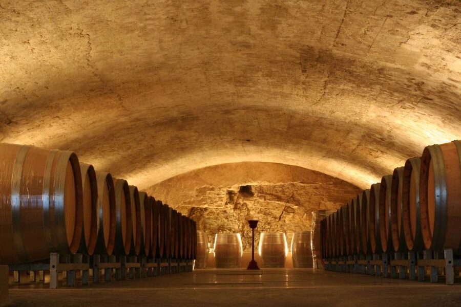 Avignon: Full-Day Wine Tour around Châteauneuf-du-Pape - Price, pace, and who should book