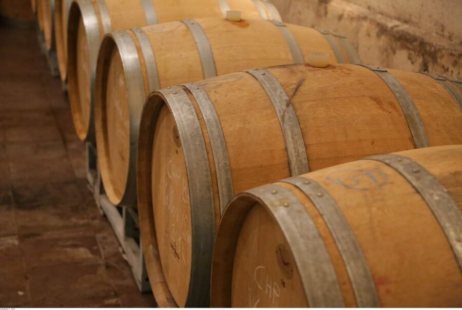 Avignon: Full-Day Wine Tour around Châteauneuf-du-Pape - Should you book this Châteauneuf-du-Pape tour?