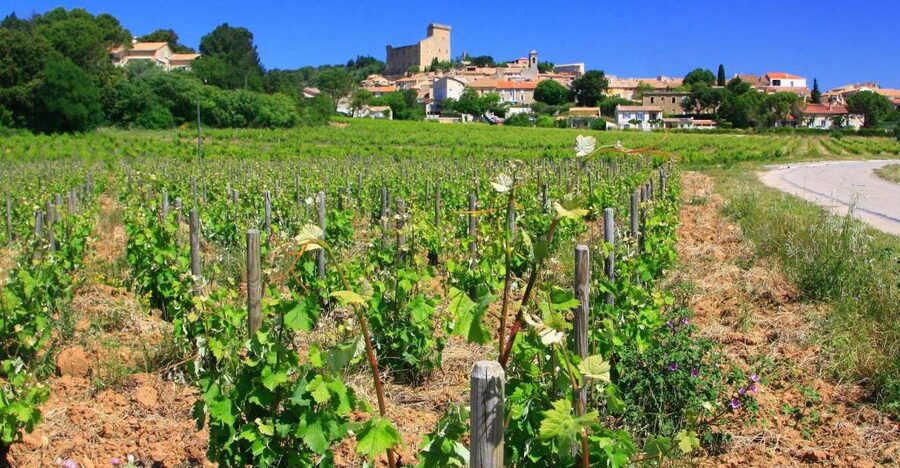 Avignon: Full-Day Wine Tour around Châteauneuf-du-Pape - Châteauneuf-du-Pape, the star of the day