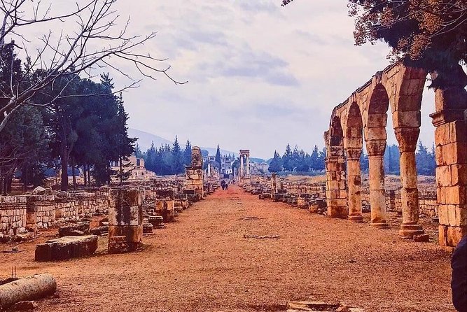 Baalback , Anjar & Chateau Ksara - Lunch, snacks, and the real cost