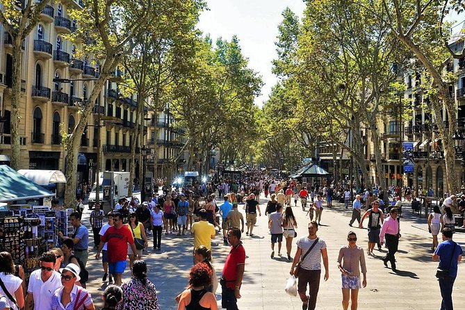 Barcelona: Old Town, Montjuic Castle, Cable Car Small Group Tour - Montjuïc Park and the 360-Degree View