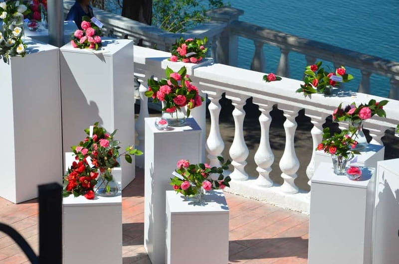 Batumi: Botanical Garden, Petra Fortress and Miniatures Park - Key points at a glance