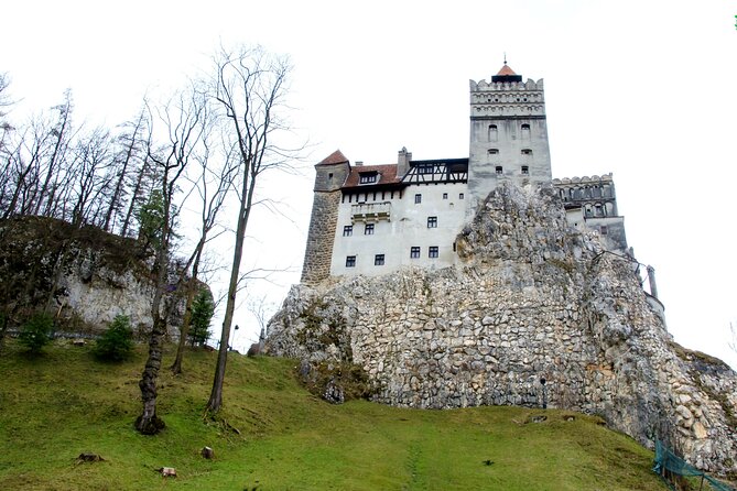 Bear Sanctuary and Bran Castle from Brasov - Starting with the bears at Libearty