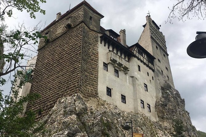 Bear Sanctuary and Bran Castle from Brasov - Driving through Transylvania with Alin